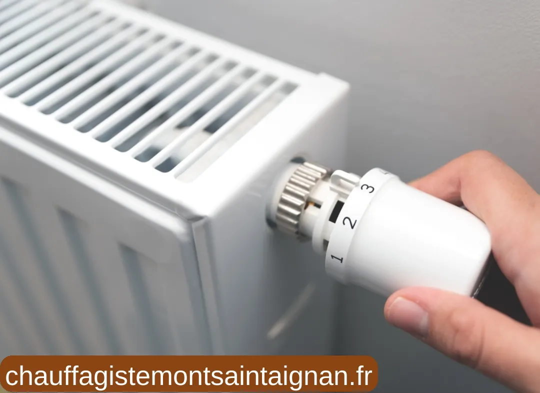 Remplacement de Thermostat Mont-Saint-Aignan
